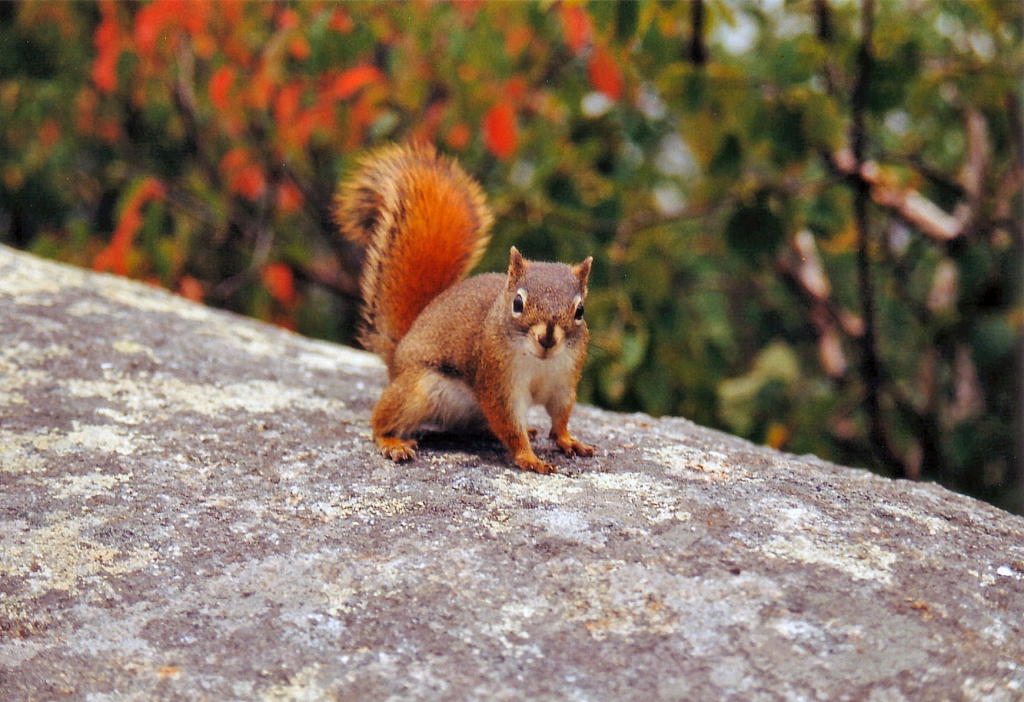 04 - Saguenay (7).jpg